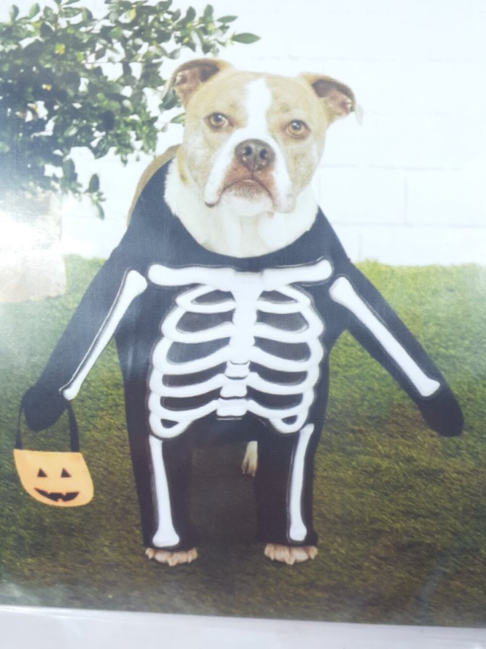 Ashland Halloween Dog Costume XS Skeleton 977A - Picture 2 of 5